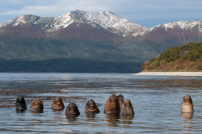 Ski Patagonia - Chilean Fjords